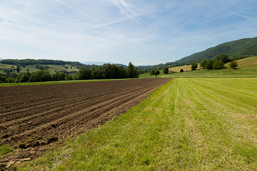 Le Champs de Claude